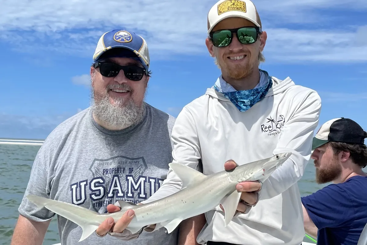 Bonnethead shark on a dock before release